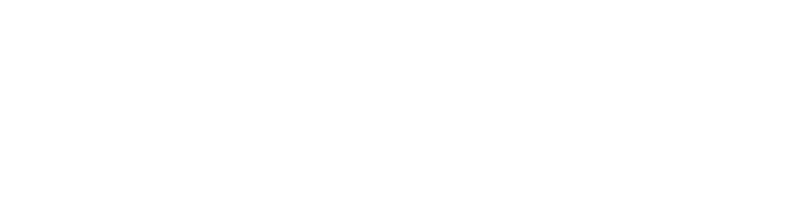 Altineo Voyages